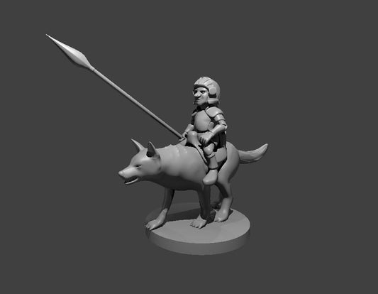 Gnome Fighter